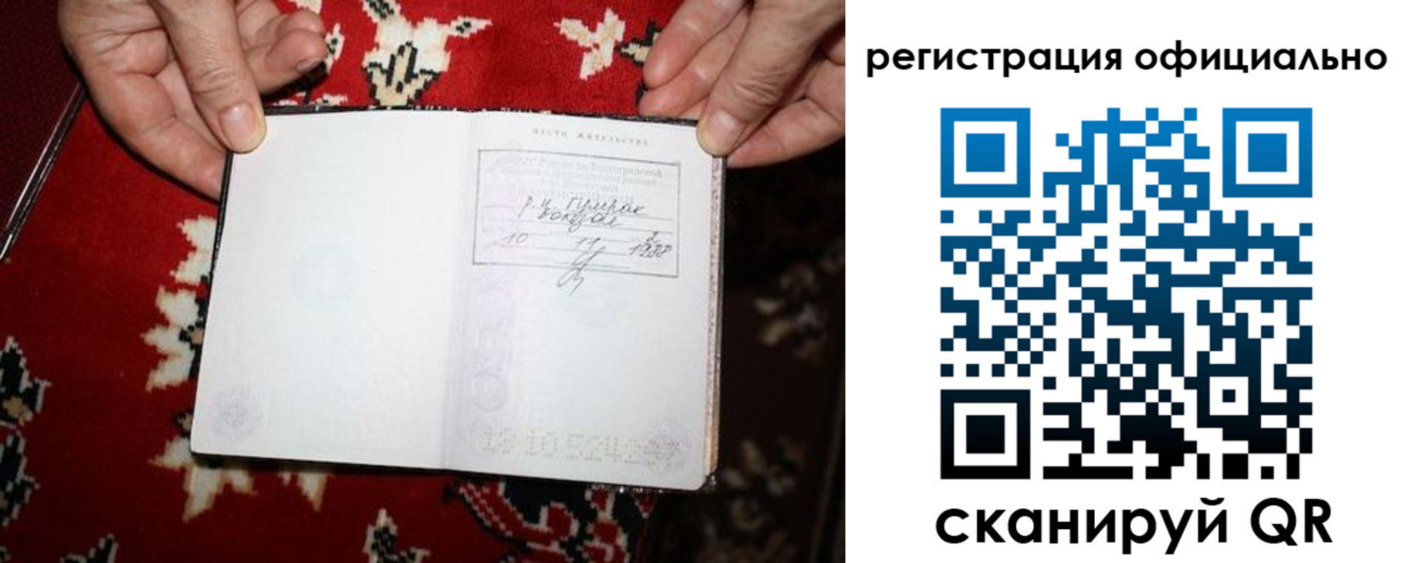 временная регистрация гарантия в Коле